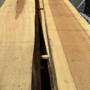 TOULIPIER BOULES mm.52 MT.5,00