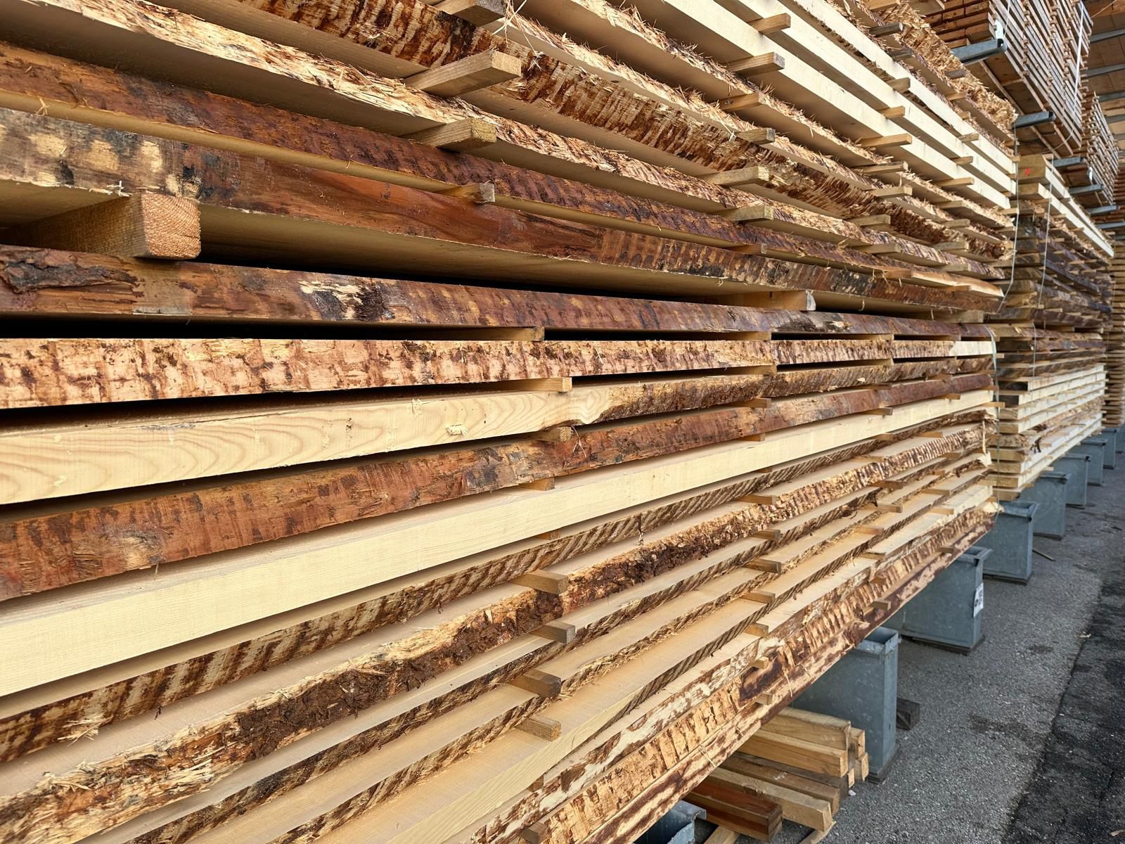 ABETE 0-II BOULES mm.50 MT.4,00 e mm.65 MT.4,00/4,50 – OFFERTA ESTATE
